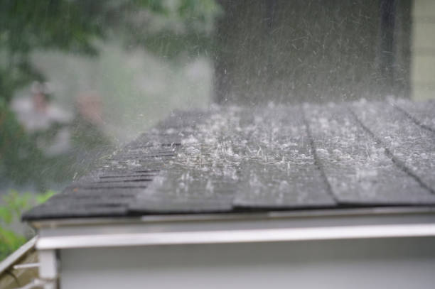 Best Roof Coating and Sealing  in Worland, WY